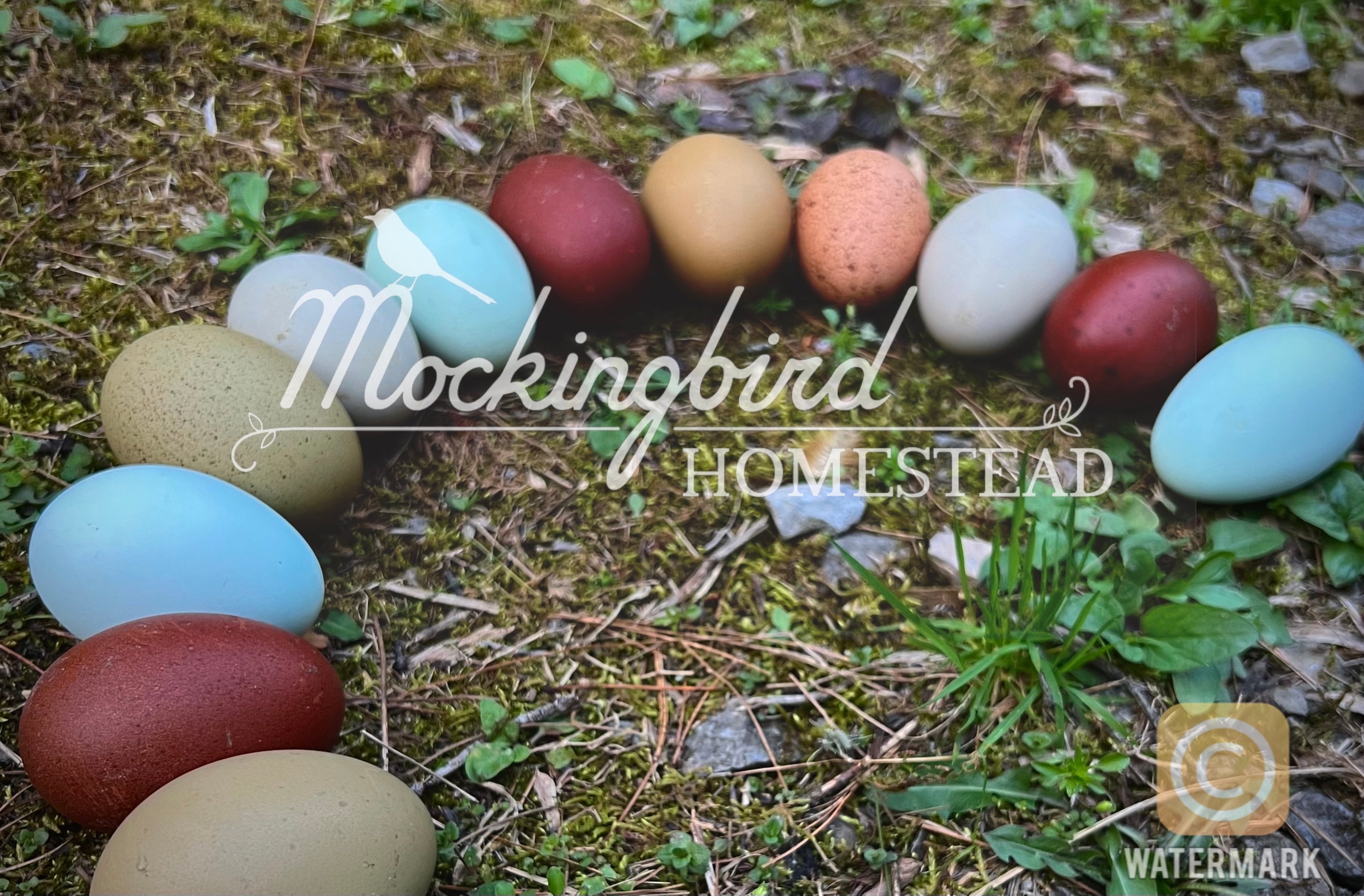 Mockingbird Homestead Gift Card