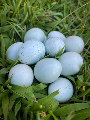 Open image in slideshow, Celadon Quail Hatching Eggs
