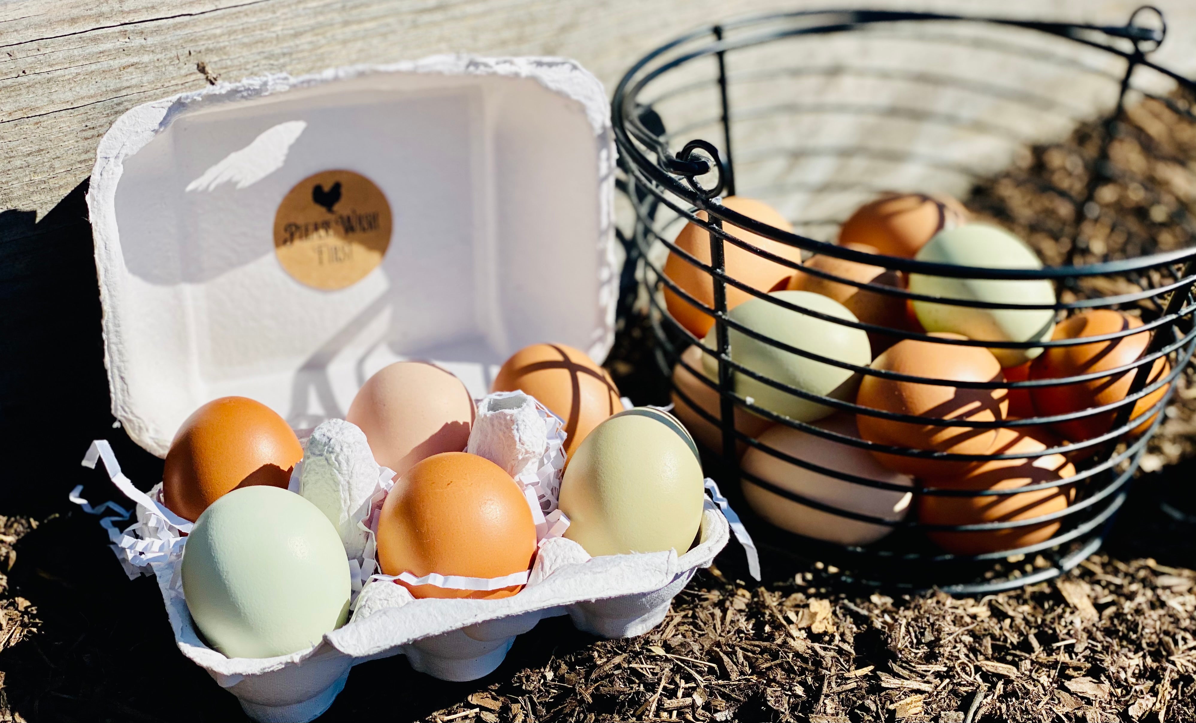 Fresh Non-GMO Organic Forest-pasture raised Eggs